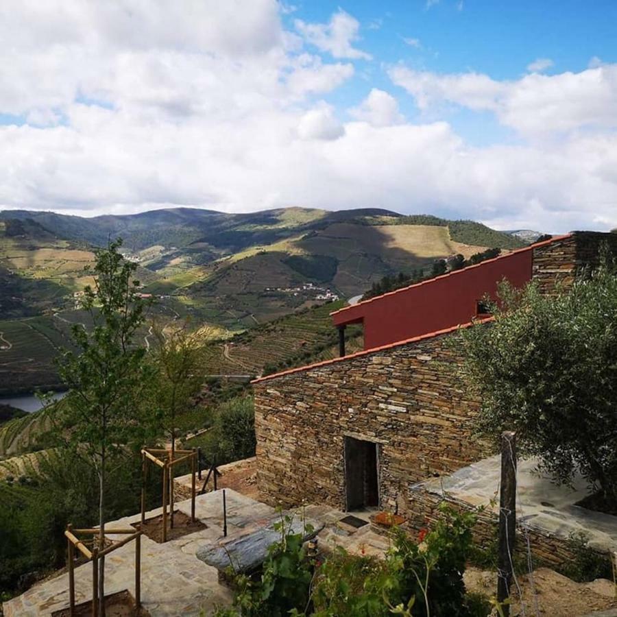 Quinta Das Fontainhas - Douro Valley Villa Tabuaço Buitenkant foto