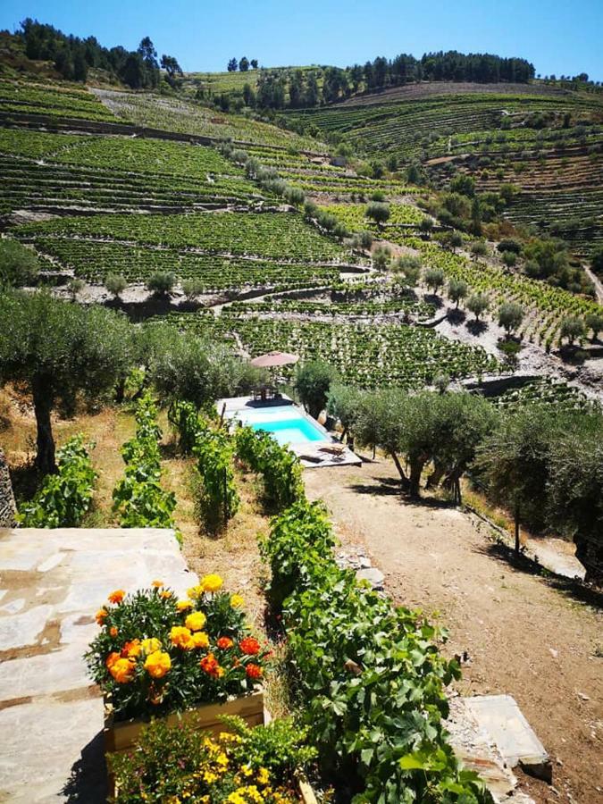 Quinta Das Fontainhas - Douro Valley Villa Tabuaço Buitenkant foto