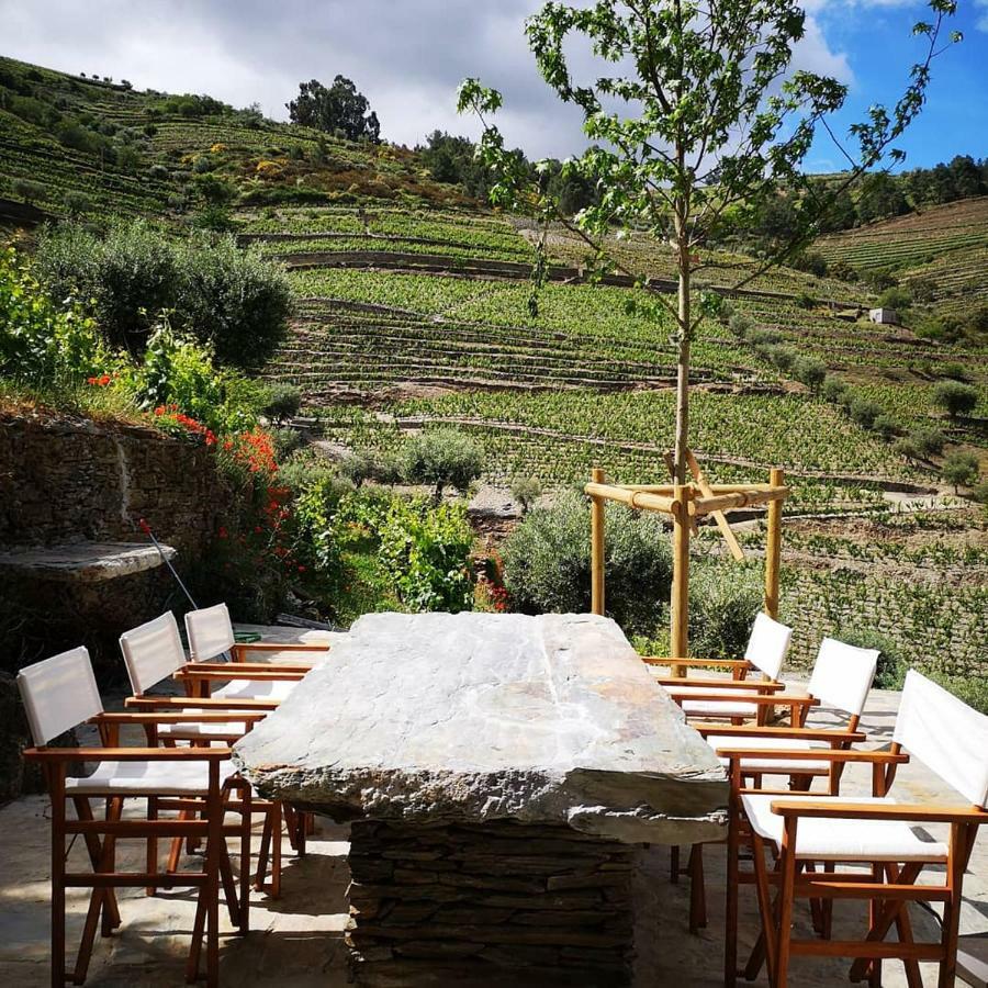 Quinta Das Fontainhas - Douro Valley Villa Tabuaço Buitenkant foto