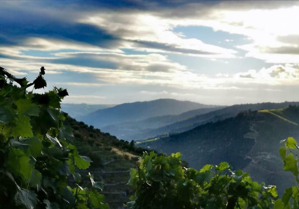 Quinta Das Fontainhas - Douro Valley Villa Tabuaço Buitenkant foto