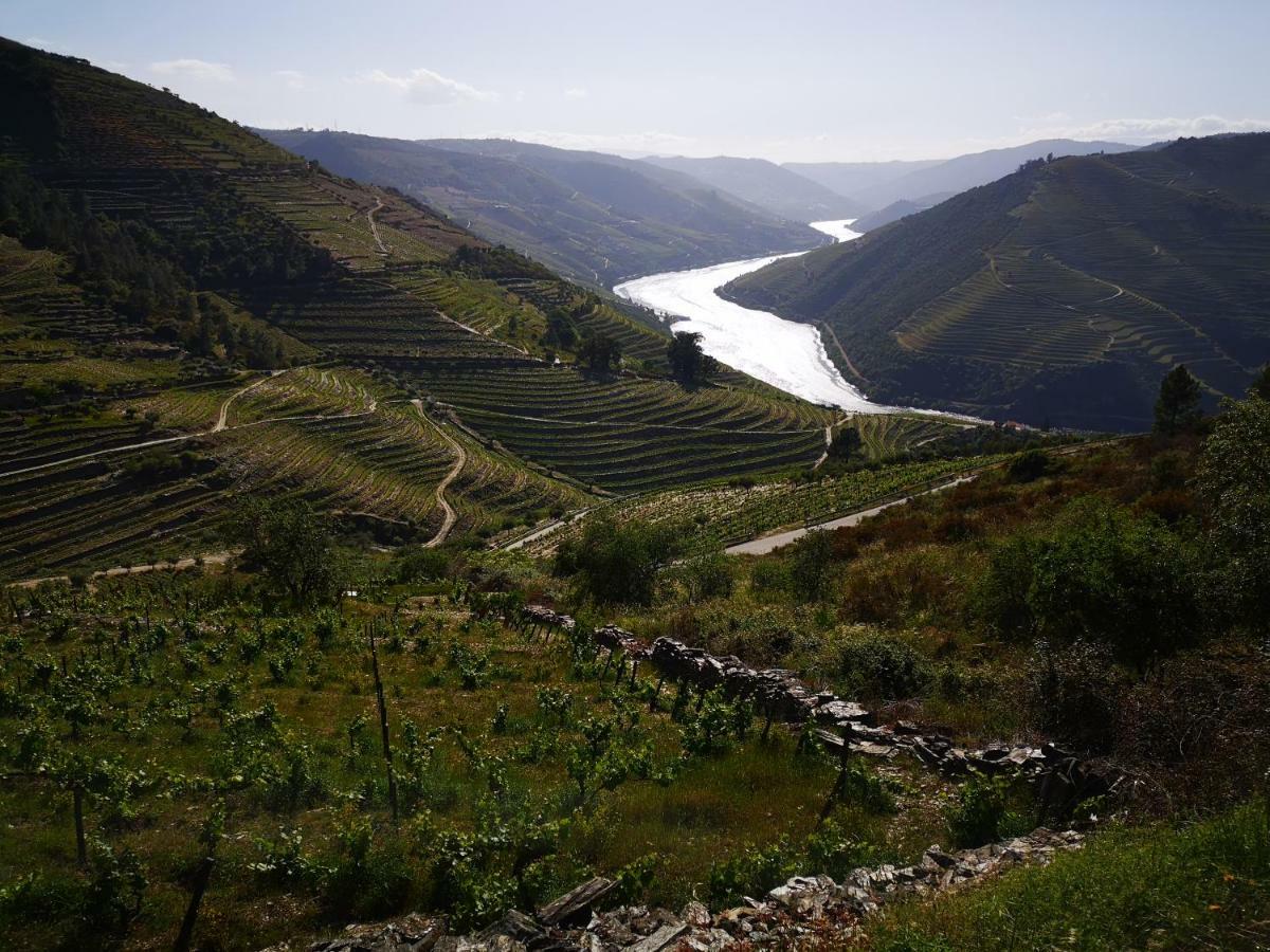 Quinta Das Fontainhas - Douro Valley Villa Tabuaço Buitenkant foto
