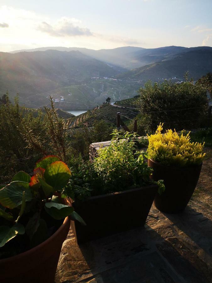 Quinta Das Fontainhas - Douro Valley Villa Tabuaço Buitenkant foto